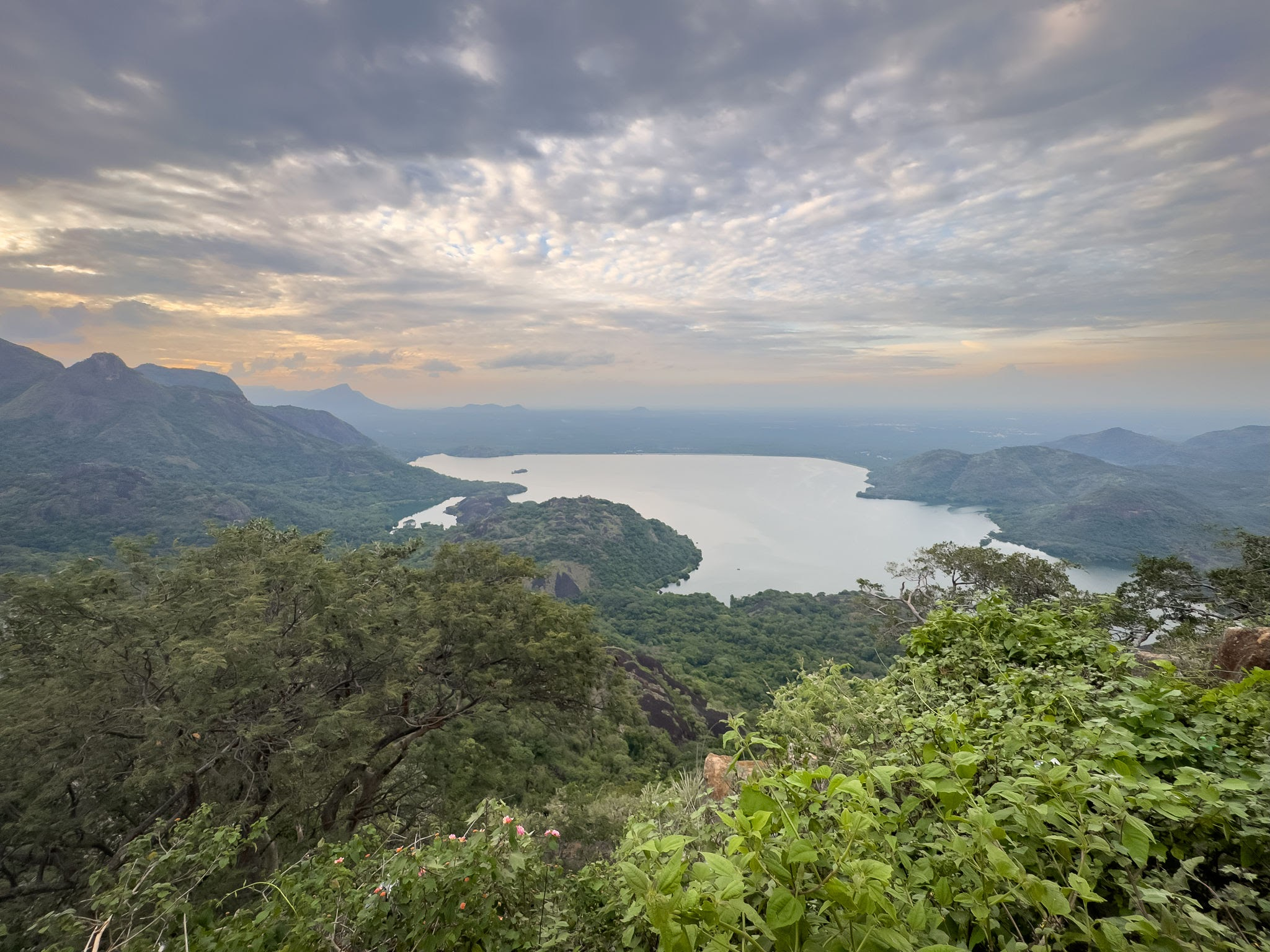 Grass Hills Anamalai Reserve